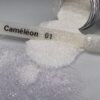 cameleon-brillant-no1